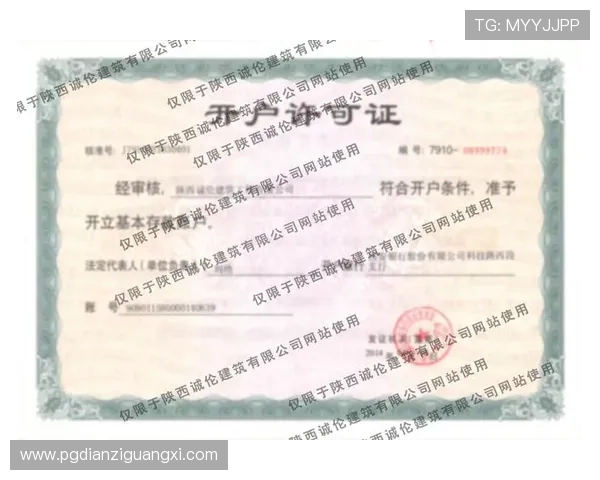 PG电子现金开户操作流程详解,轻松掌握快速完成开户步骤指南